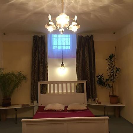 Vintage Studio Apartment, Garden And Free Parking Budapest Exteriör bild