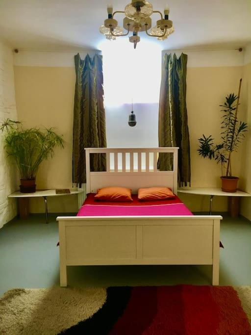 Vintage Studio Apartment, Garden And Free Parking Budapest Exteriör bild
