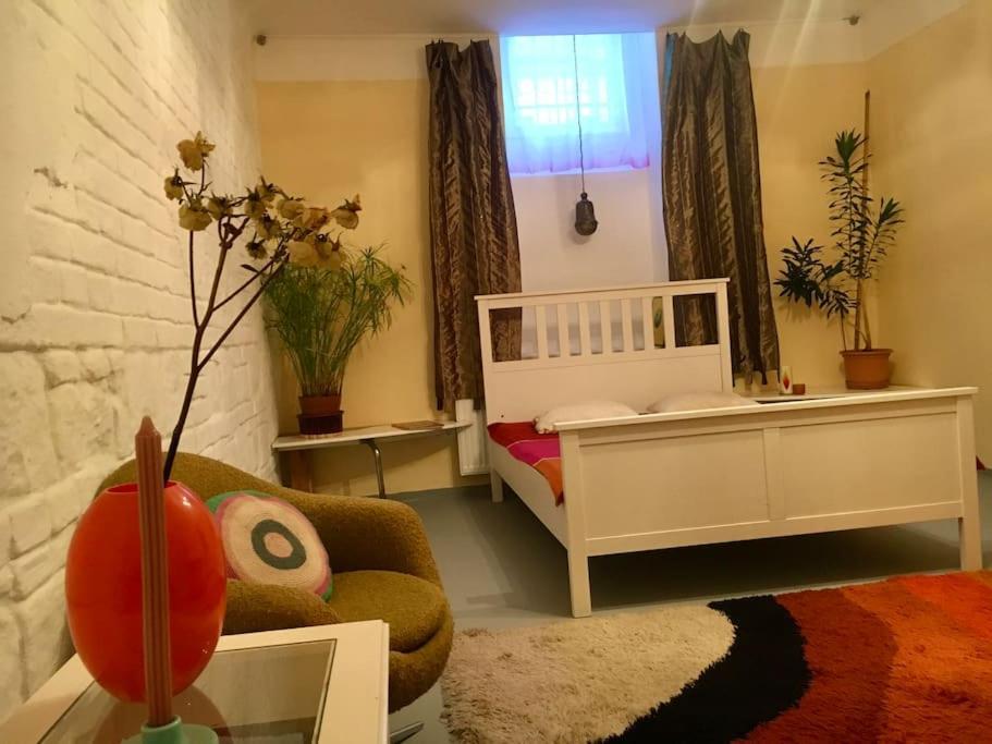 Vintage Studio Apartment, Garden And Free Parking Budapest Exteriör bild