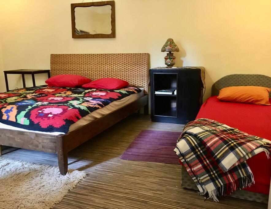 Vintage Studio Apartment, Garden And Free Parking Budapest Exteriör bild