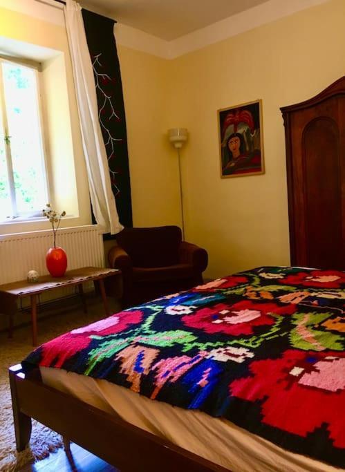 Vintage Studio Apartment, Garden And Free Parking Budapest Exteriör bild
