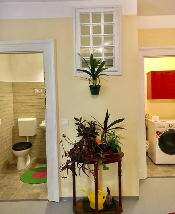 Vintage Studio Apartment, Garden And Free Parking Budapest Exteriör bild