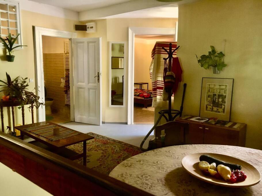 Vintage Studio Apartment, Garden And Free Parking Budapest Exteriör bild