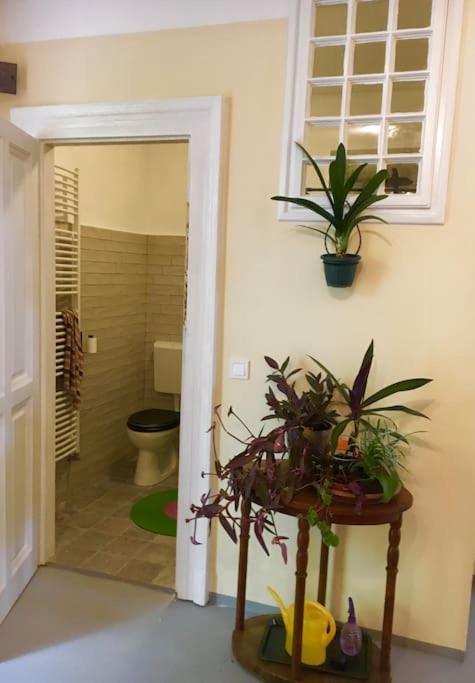 Vintage Studio Apartment, Garden And Free Parking Budapest Exteriör bild